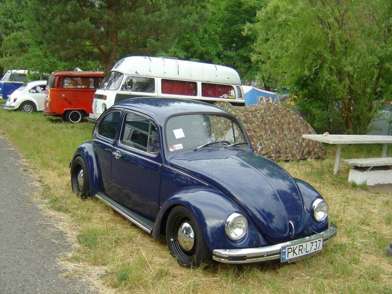 Przybrodzin 2008 – zdjęcie 40