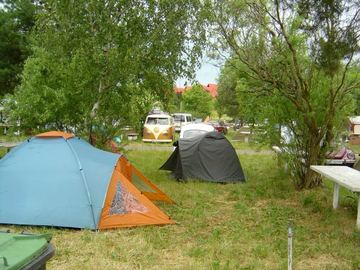 Zdjęcie 41