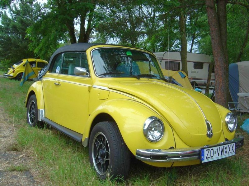Przybrodzin 2008 – zdjęcie 48