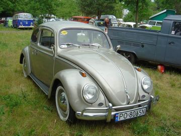 Zdjęcie 52