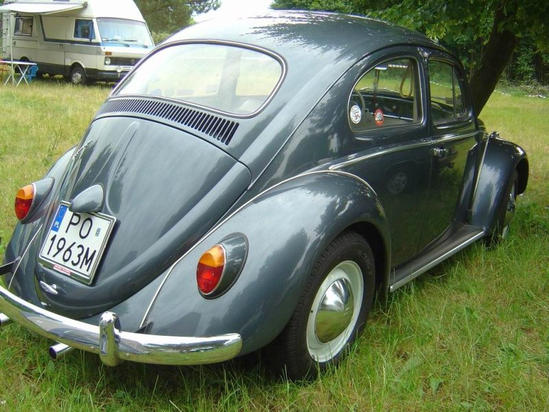 Przybrodzin 2008 – zdjęcie 53