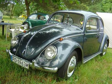 Zdjęcie 55