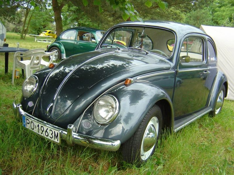 Przybrodzin 2008 – zdjęcie 55