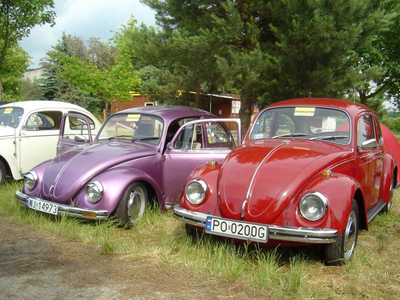 Przybrodzin 2008 – zdjęcie 6