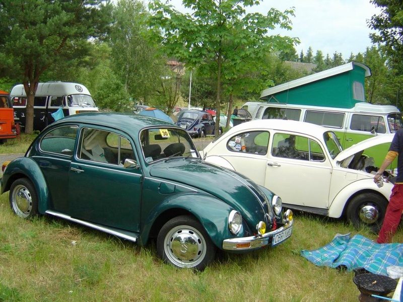 Przybrodzin 2008 – zdjęcie 60