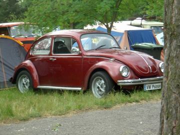 Zdjęcie 61