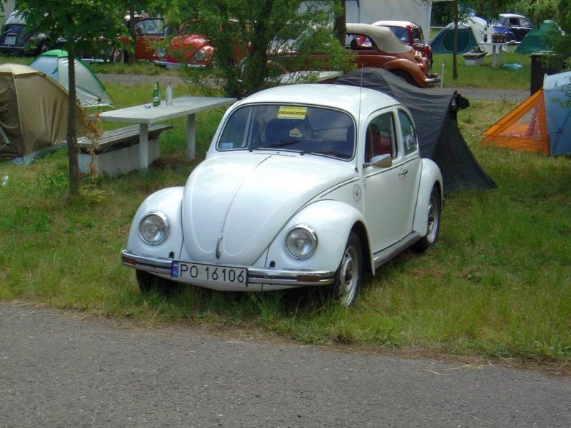 Przybrodzin 2008 – zdjęcie 62