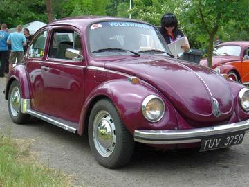 Zdjęcie 67