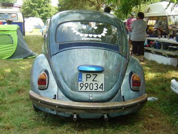 Zdjęcie 72