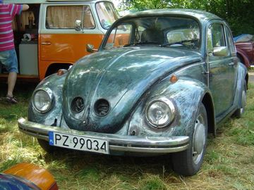Zdjęcie 74