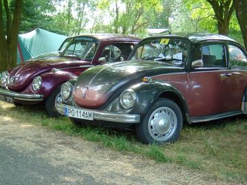 Zdjęcie 75