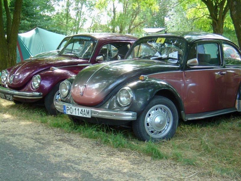 Przybrodzin 2008 – zdjęcie 75