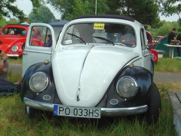 Zdjęcie 76