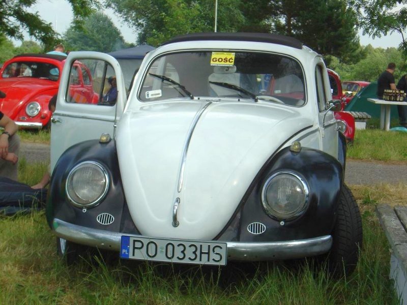 Przybrodzin 2008 – zdjęcie 76