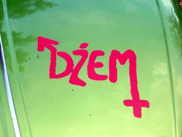 Zdjęcie 8