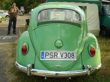 Zdjęcie 81