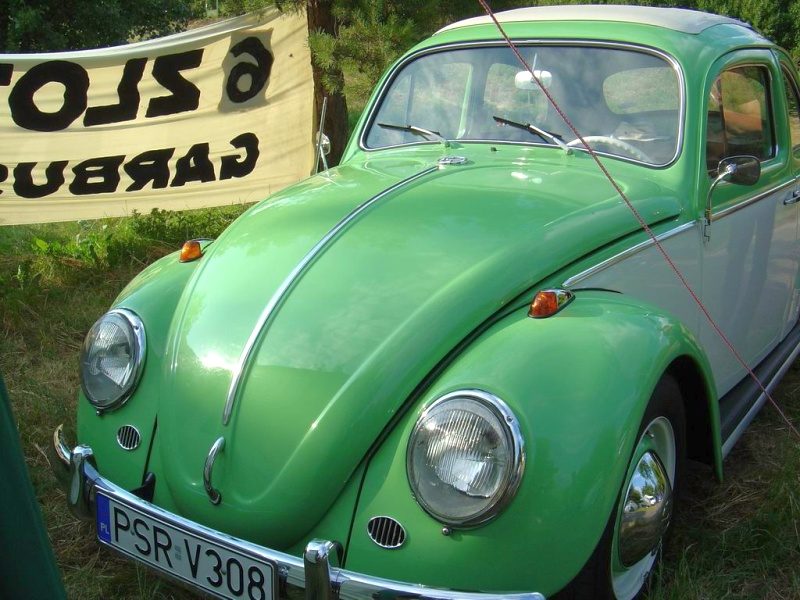 Przybrodzin 2008 – zdjęcie 83