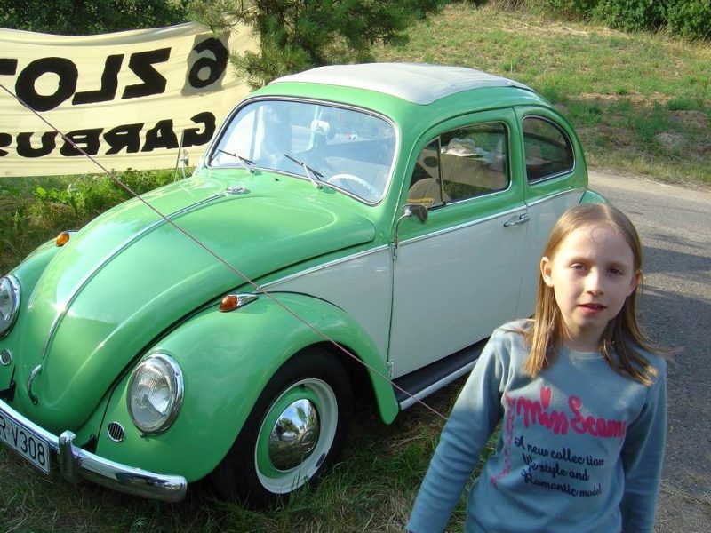 Przybrodzin 2008 – zdjęcie 85