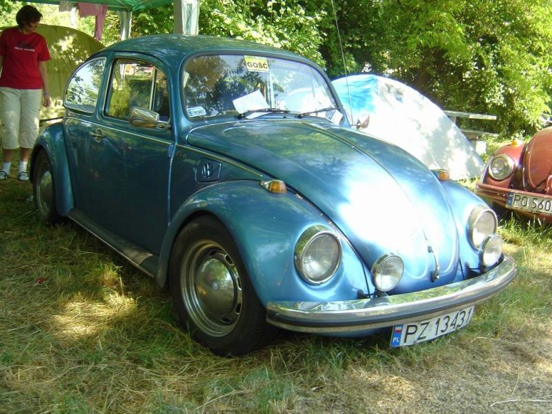 Przybrodzin 2008 – zdjęcie 91