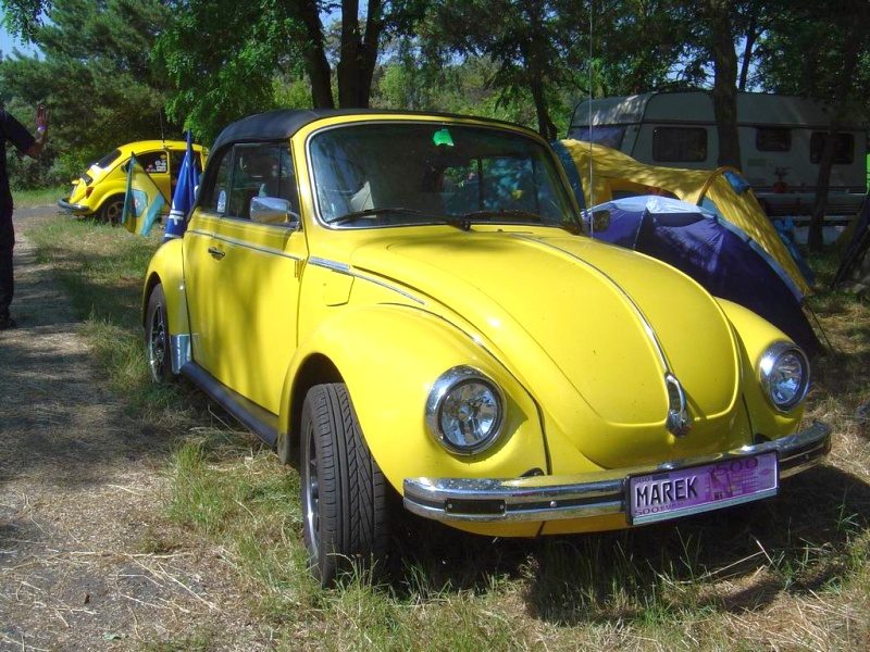 Przybrodzin 2008 – zdjęcie 92