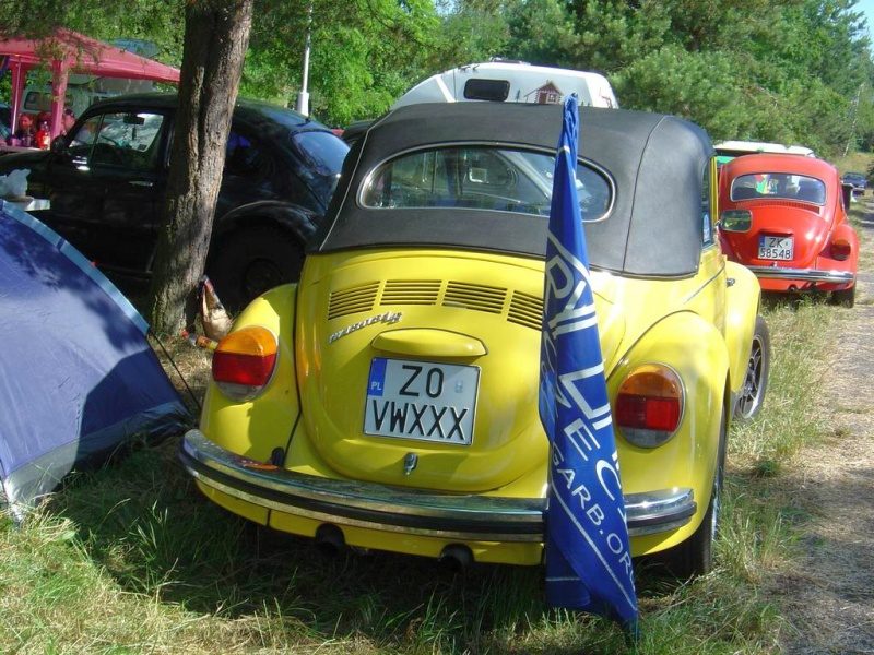 Przybrodzin 2008 – zdjęcie 94
