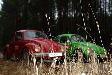 Zdjęcie 104