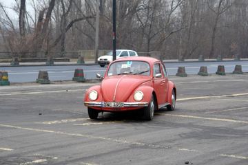 Zdjęcie 12