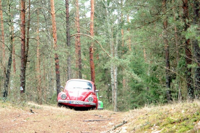 rajd 4000 - Podlasie – zdjęcie 146