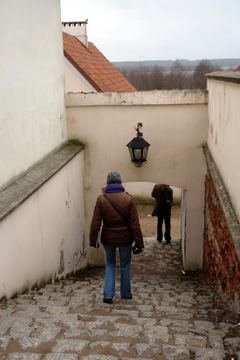 Zdjęcie 165