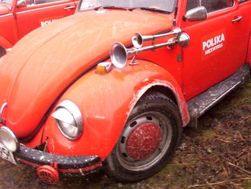 Zdjęcie 182