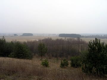 Zdjęcie 217