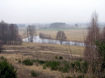 Zdjęcie 218