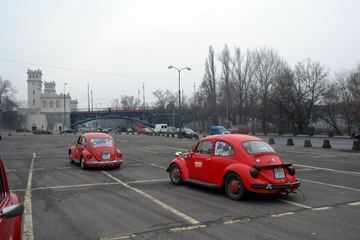 Zdjęcie 22