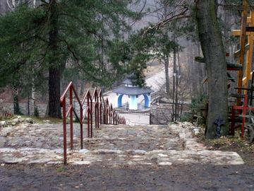 Zdjęcie 221
