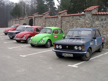 Zdjęcie 225