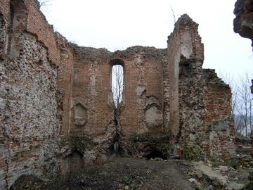 Zdjęcie 228