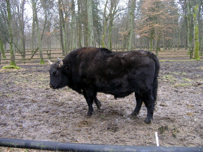 rajd 4000 - Podlasie – zdjęcie 242