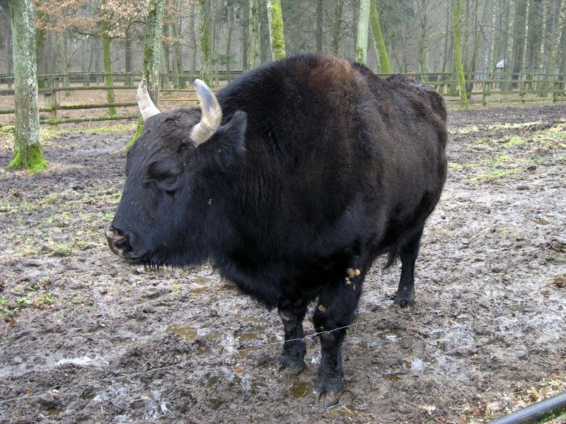 rajd 4000 - Podlasie – zdjęcie 243