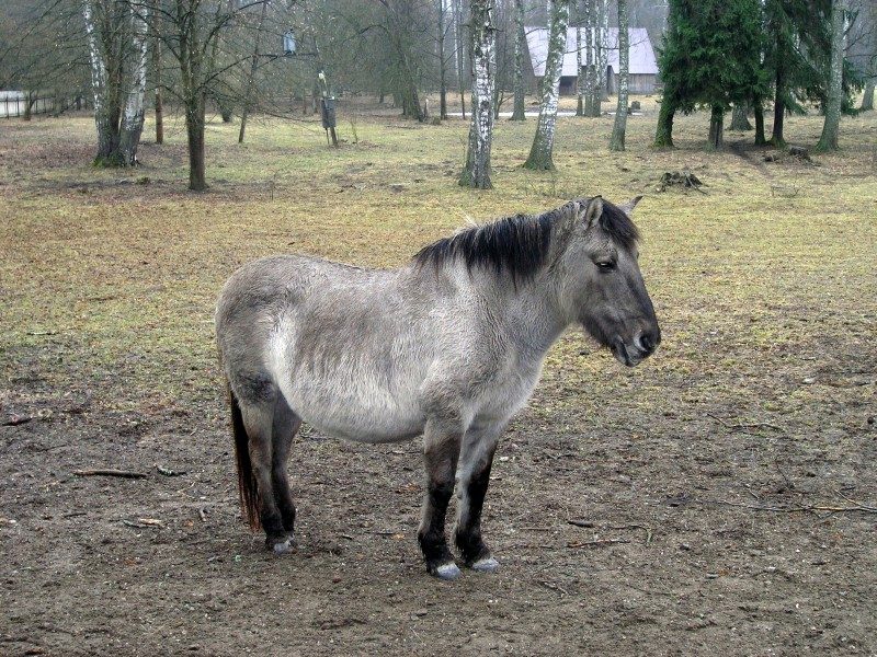 rajd 4000 - Podlasie – zdjęcie 245