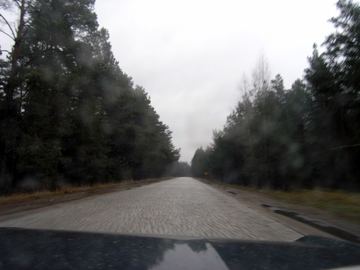Zdjęcie 249