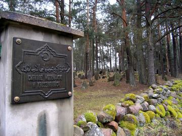 Zdjęcie 251