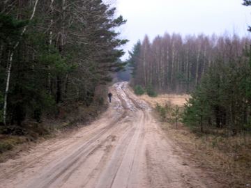 Zdjęcie 256