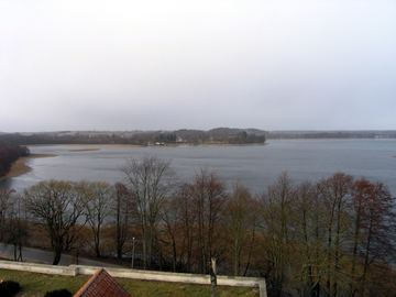 Zdjęcie 265