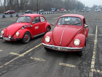 Zdjęcie 282