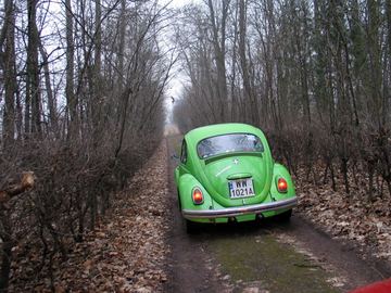 Zdjęcie 294