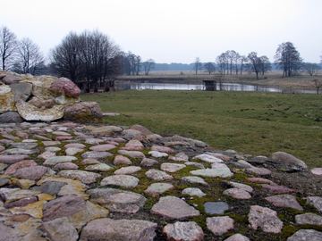 Zdjęcie 301