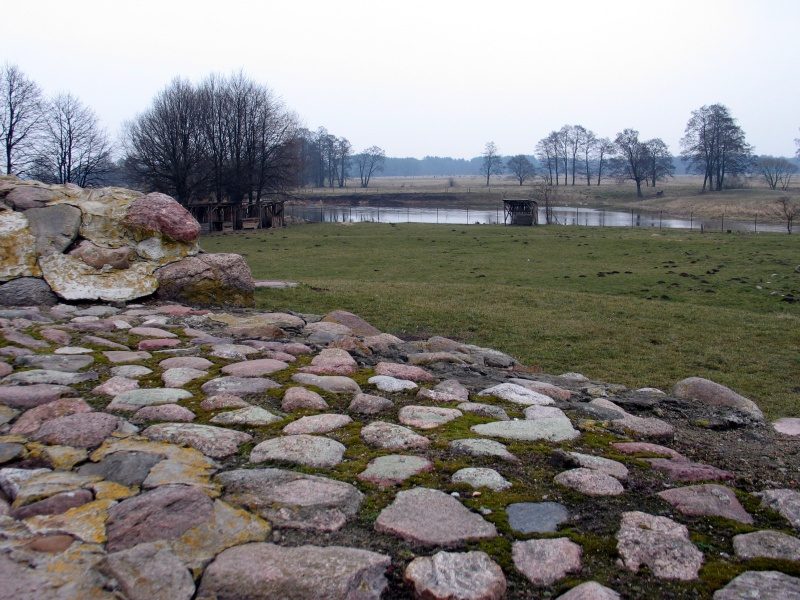 rajd 4000 - Podlasie – zdjęcie 301