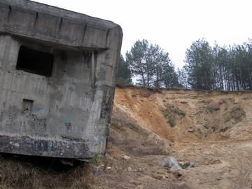 Zdjęcie 311