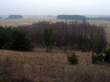 Zdjęcie 315