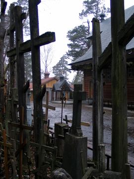 Zdjęcie 323